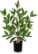Briful Fake Plants 19.6'' Tall Artificial Plants Indoor Decor, Faux Bay Laurel Plants in Black Pot, Floor Plant Houseplant for Home Farmhouse Outdoor Patio Porch Decorations