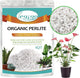 Legigo 4 Quarts Organic Horticultural Perlite for Plants Indoor- Natural Horticultural Soil Additive Conditioner Mix for Improves Drainage, Ventilation and Root Growth
