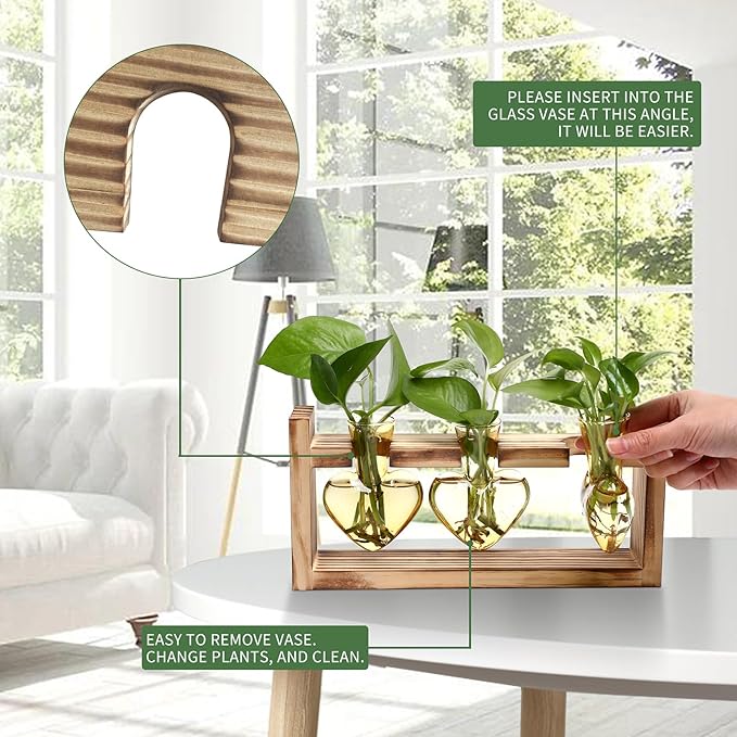 Plant Terrarium Propagation Stations Hydroponics Home Garden Decoration Gift for Women with Wooden Stand Heart Shaped Colored Glass Vase