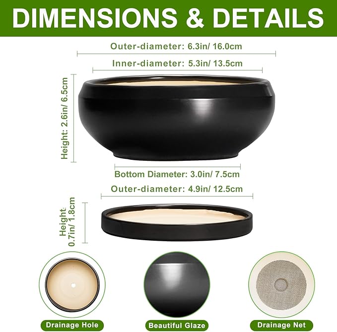 EPFamily Bonsai Tree Pots Small - 6 Inch Ceramic Succulent Pots for Indoor Plants Outdoor, Round Planter with Drainage Hole and Saucer, Shallow Planter Bowl, Bathroom Decor, House Warming Gift, Black