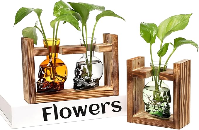 2+1 Plant Terrarium Plant Propagation Station Gifts for Father Halloween Skull Home Office Decor with Wooden Stand