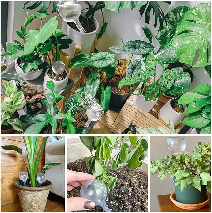 10 Pcs Clear Plant Watering Globes,Plastic Self-Watering Bulbs,Flower Automatic Watering Device,Garden Waterer for Plant Indoor Outdoor