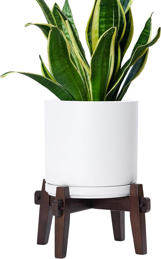 D'vine Dev Ceramic Planter with Wood Stand - 8 Inch Mid Century Modern Cylinder Indoor Plant Pot Set for Indoor Plants & Flowers, White, 55-A-Y-1