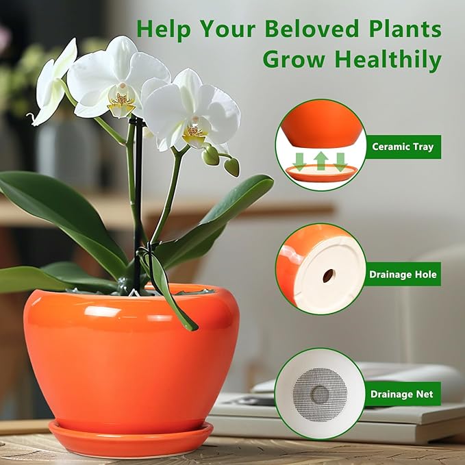 Ceramic Plant Pot 6 Inch - Ceramic Planter for Indoor Plants Outdoor, Glaze Round Modern Flower Pot with Drainage Hole and Saucer, Gift for Plant Lover, Home Garden Room Decor, Orange