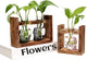 2+1 Plant Terrarium Plant Propagation Station Gifts for Father Halloween Skull Home Office Decor with Wooden Stand