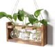 Plant Propagation Station Plant Terrarium Unique Birthday Gifts for Women Home Office Decor Planter with Wooden Stand - 3 Bulb Glass Vase