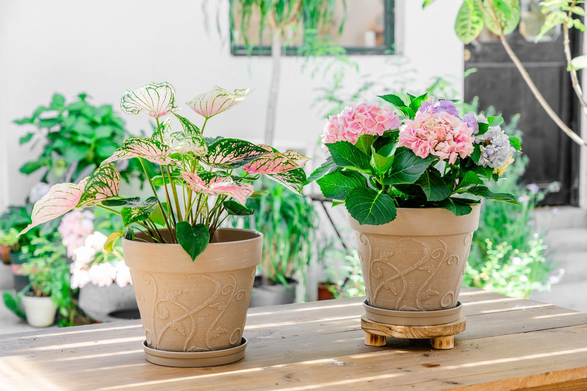 Melphoe Plant Pots Indoor with Drainage & Saucer, 2Pack 10 inch Flower Pots Outdoor Planters for Indoor Plants Garden Home Decor Cactus Succulent, Rigid Plastic (Imitation-Terracotta) Vine-Embossed