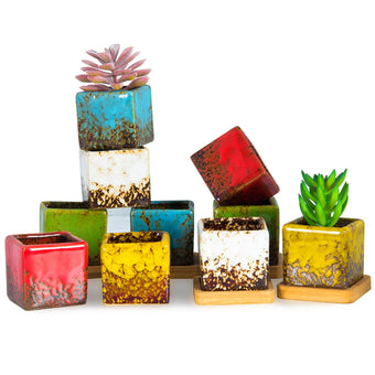 Set of 10 Succulent Pots with Drainage Trays, Small Square Plant Pots Bulk
