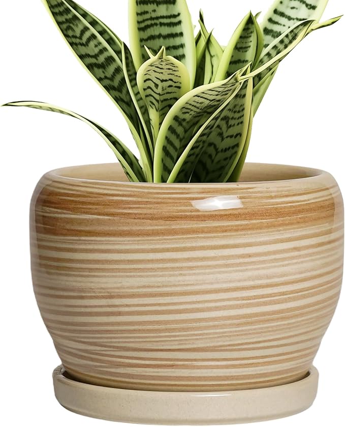 SQOWL Ceramic Pot for Plants - 6 Inch Indoor Planter with Drainage Hole and Tray, Round Modern Flower Pot Outdoor, Decorative Succulent Planter, Kitchen Decor, Gifts for Plant Lovers, Yellow