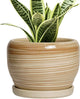 SQOWL Ceramic Pot for Plants - 6 Inch Indoor Planter with Drainage Hole and Tray, Round Modern Flower Pot Outdoor, Decorative Succulent Planter, Kitchen Decor, Gifts for Plant Lovers, Yellow