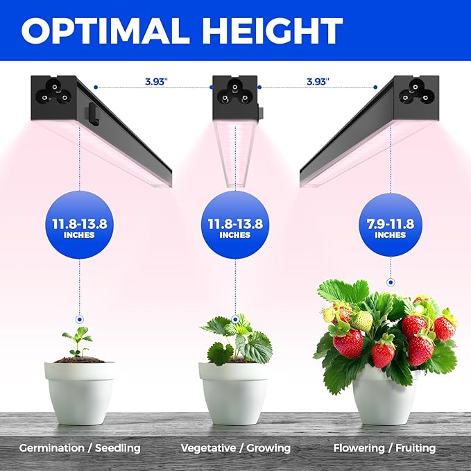 Barrina 1ft Grow Lights for Indoor Plants Full Spectrum, LED Grow Lamp with Black Cover, T5 Grow Light Strip, Under Cabinet Grow Light with Switch Cord, Plug and Play, Linkable, Pinkish White, 4 Packs