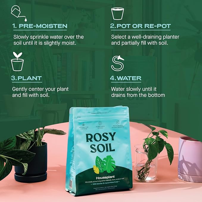 Rosy Soil Indoor Potting Soil for House Plants - Organic Potting Soil Mix for Indoor Plants - Enriched w/Root-Boosting Biochar for Foliage Plants, Flowers, Herbs - Peat Free, Less Prone to Gnats - 4qt