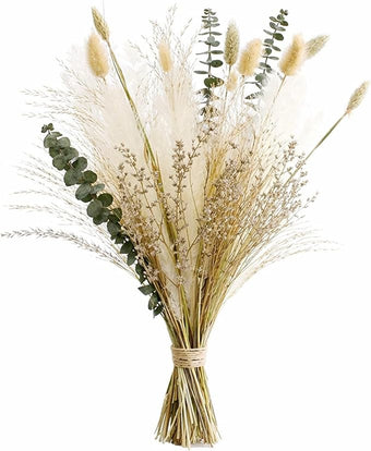 Musunny Natural Dried Flower Bouquet,17" Dried Flowers for Vase,Dried Floral Arrangements for Boho Farmhouse Home Décor Indoor with Pampas(Green)
