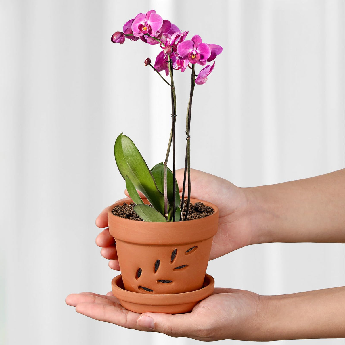JUXYES 4" Hollowed Out Small Terracotta Orchid Pots with Holes and Saucer