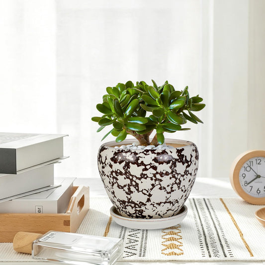 Ceramic Plant Pots With Saucer & Drainage, 6 inch Indoor Flower Pots