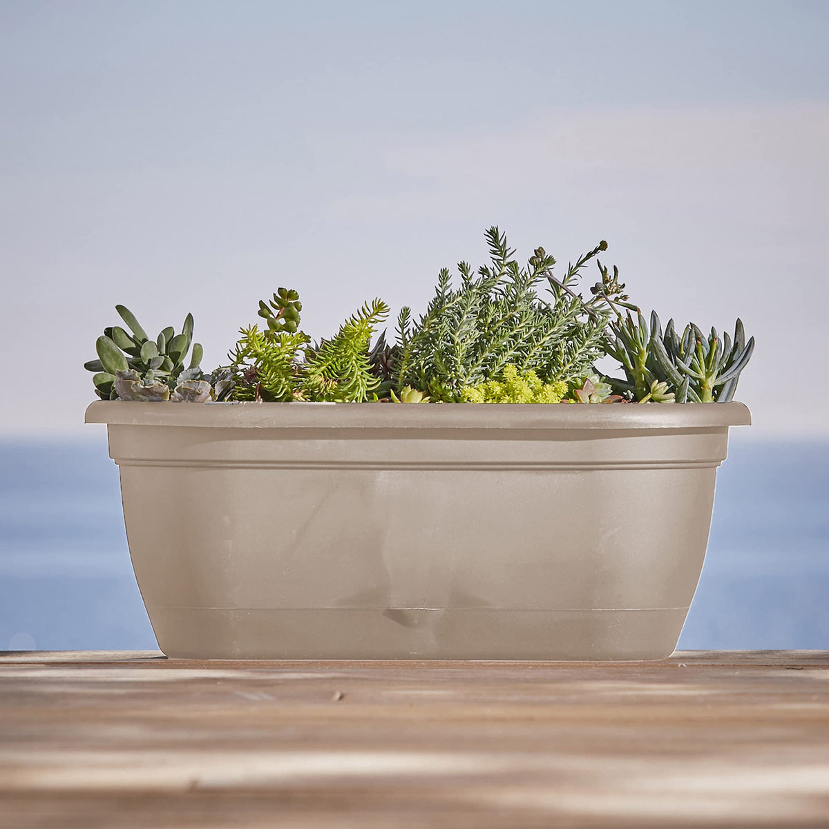 Bloem: Lucca Self Watering Window Box Planter: 18" - Charcoal Gray - Durable Long Lasting Plastic Pot, Indoor Outdoor Use, Gardening, 2.5 Gal Capacity
