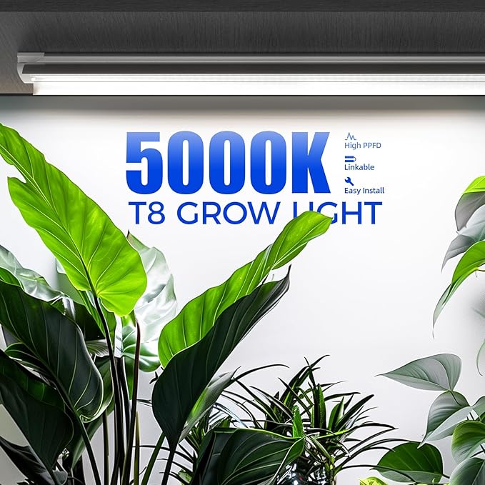 Barrina Plant Grow Lights, 4FT 5000K Full Spectrum Daylight White, 252W(6 x 42W, 1400W Equivalent), T8 LED Grow Light Strips, Growing Lamp Fixture, Plant Lights for Indoor Plants, Greenhouse, 6-Pack