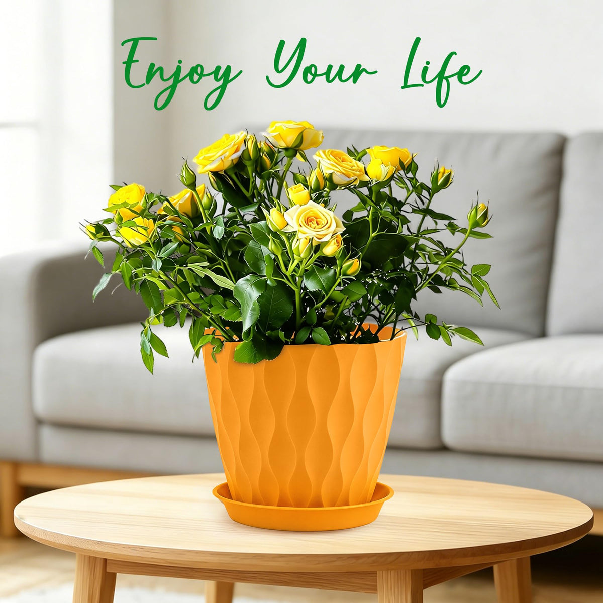 YNNICO 8 inch Plant Pots, 4 Pack Flower Pots Outdoor Indoor, Planters with Drainage Hole and Tray Saucer-Multicolor