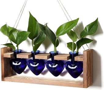 CYZglass Heart Plant Terrarium Kit Gift for Women Plant Lover Glass Vases