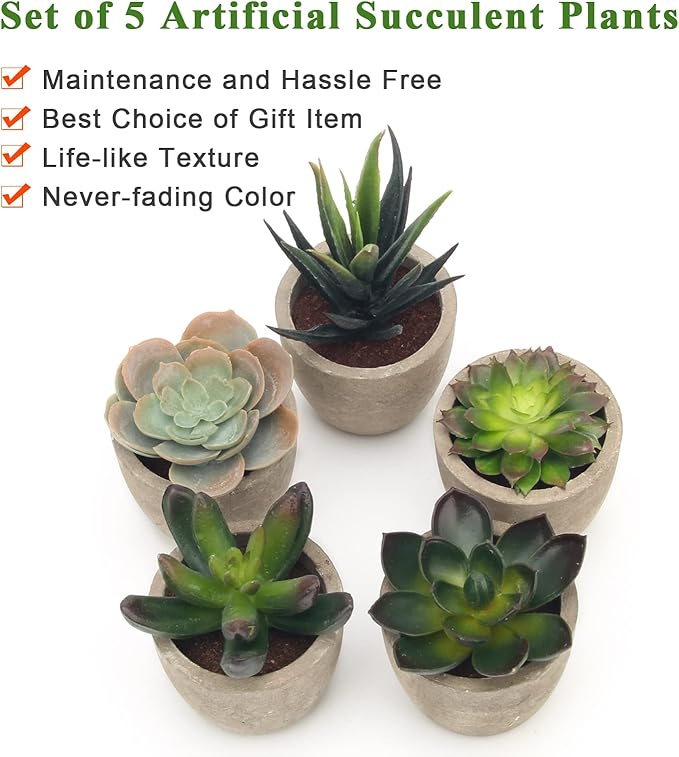 Coitak Artificial Succulent Plants Potted, Assorted Decorative Faux Succulent Potted Fake Cactus Cacti Plants with Pots, Set of 5