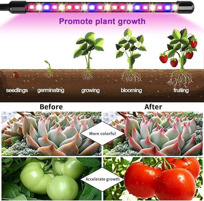 Garpsen Plant Lights, 3 Heads Red Blue Warm White Full Spectrum Grow Lights for Indoor Plants, 60 LEDs Led Grow Light for Seed Starting, with Auto ON/Off 6/12/16H Timer, 5 Dimmable Levels