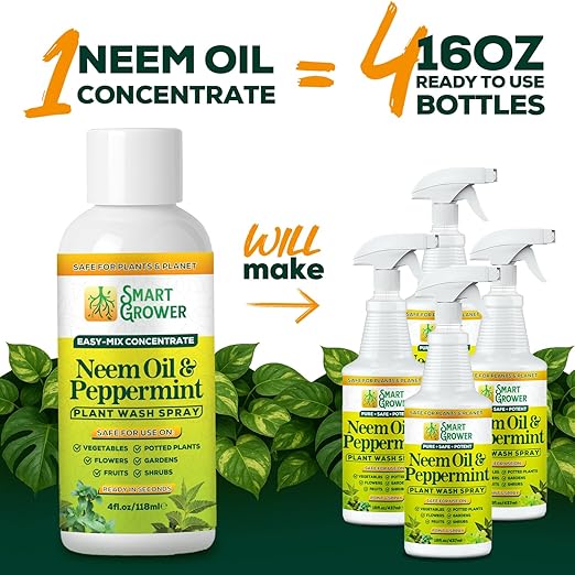 Neem Oil Spray for Plants with Peppermint Oil – for Indoor & Outdoor Plants, Gardens, & Houseplants– Best Value Refill 4 oz Concentrate Makes 1/2 Gallon RTU