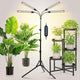 JINHONGTO Grow Light with Stand and Timer 4,8,12 Hr, 36 Watt Standing Tall Plant Light for Bonsai Tree, Seed Starting, 24"-64" Adjustable Tripod Stand Plant Growing Lamps