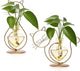 Plant Terrarium Plants Propagation Station Cat Lover Gifts for Women Home Office Decor Cat Desk Accessories