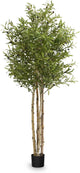 Maia Shop Decorative Artificial Plants - Artificial Bamboo Tree 6.5ft Natural Trunks, Big Artificial Plant, Home Decor, Artificial Tree (Olive, 6ft 5in)