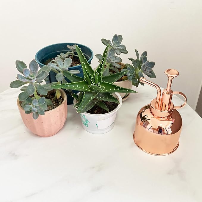 Plant Mister Spray Bottle Stainless Steel Plant Sprayer, Small Watering can Plant Spray Bottle Modern Gardening Tools for Indoor Potted Plants Watering and Spraying