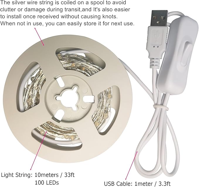 RUICHEN Silver Wire 33 Ft 100 LED USB Fairy String Lights with On/Off Switch (Warm White)