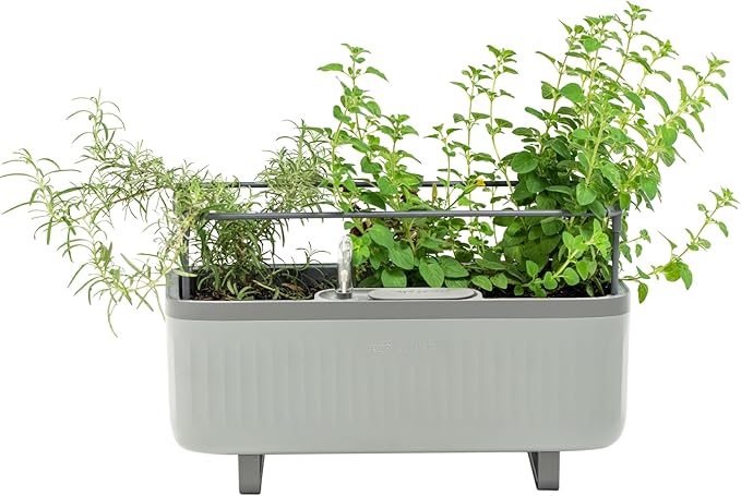 Vego Garden Herb Indoor Plant Box, Self Watering Planters Pots for Indoor Plants with Trellis for Kitchen Window Sill or Countertop Plants Cage - Fog Gray