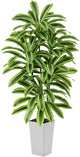 Artificial Yellow Dracaena Tree - 6FT Tall Fake Plants with White Tall Planter - Artificial Plants Indoor Floor Plant in Pot - Large Tropical Fake Yucca Potted Tree for Home Office Living Room Decor