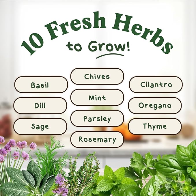 Seedboy Organic Non GMO 10 Herb Variety Pack: Basil, Cilantro, Mint, Oregano, Parsley, Thyme, Chives, Dill, Sage, Rosemary for Planting Indoor and Outdoor, USDA Certified (10 Herb Variety Pack)