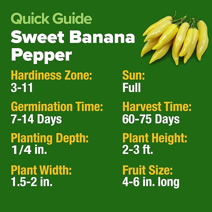 HOME GROWN Banana Pepper Seeds 2 Pack (Capsicum annuum) – 188 Heirloom Seeds, High Germination Vegetable Seeds – Growing Sweet Banana Peppers Indoors or Garden