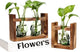 2+1 Plant Terrarium Plant Propagation Station Gifts for Father Halloween Skull Home Office Decor with Wooden Stand