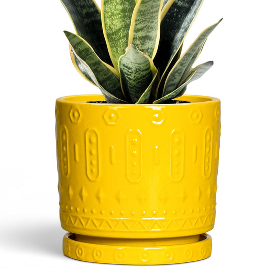 Eightpot 6 Inch Pots for Plants, Ceramic Pots for Plants with Drainage Holes and Tray, Round Planter for Indoor Outdoor, Modern Plant Pot, Decorative Flower Pot, Table Decor, Teacher Gift, Yellow
