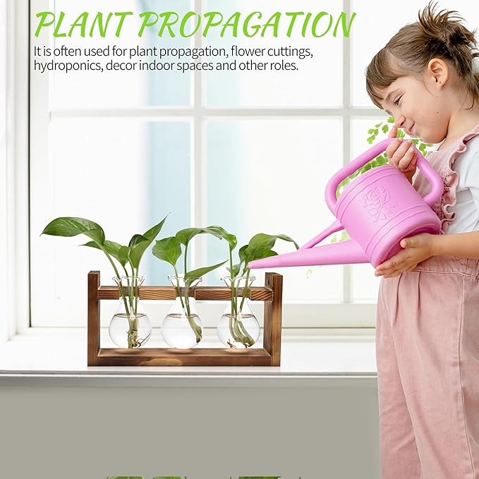 Plant Propagation Station Plant Terrarium Unique Birthday Gifts for Women Home Office Decor Planter with Wooden Stand - 3 Bulb Glass Vase