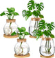 Layhit 4 Pcs Plants Propagation Stations vases Glass Planters with Wooden Lid and Bamboo Stand for Hydroponic Plants Gardening Gifts for Women Mom Home Office Tabletop Decoration(Lovely Style)