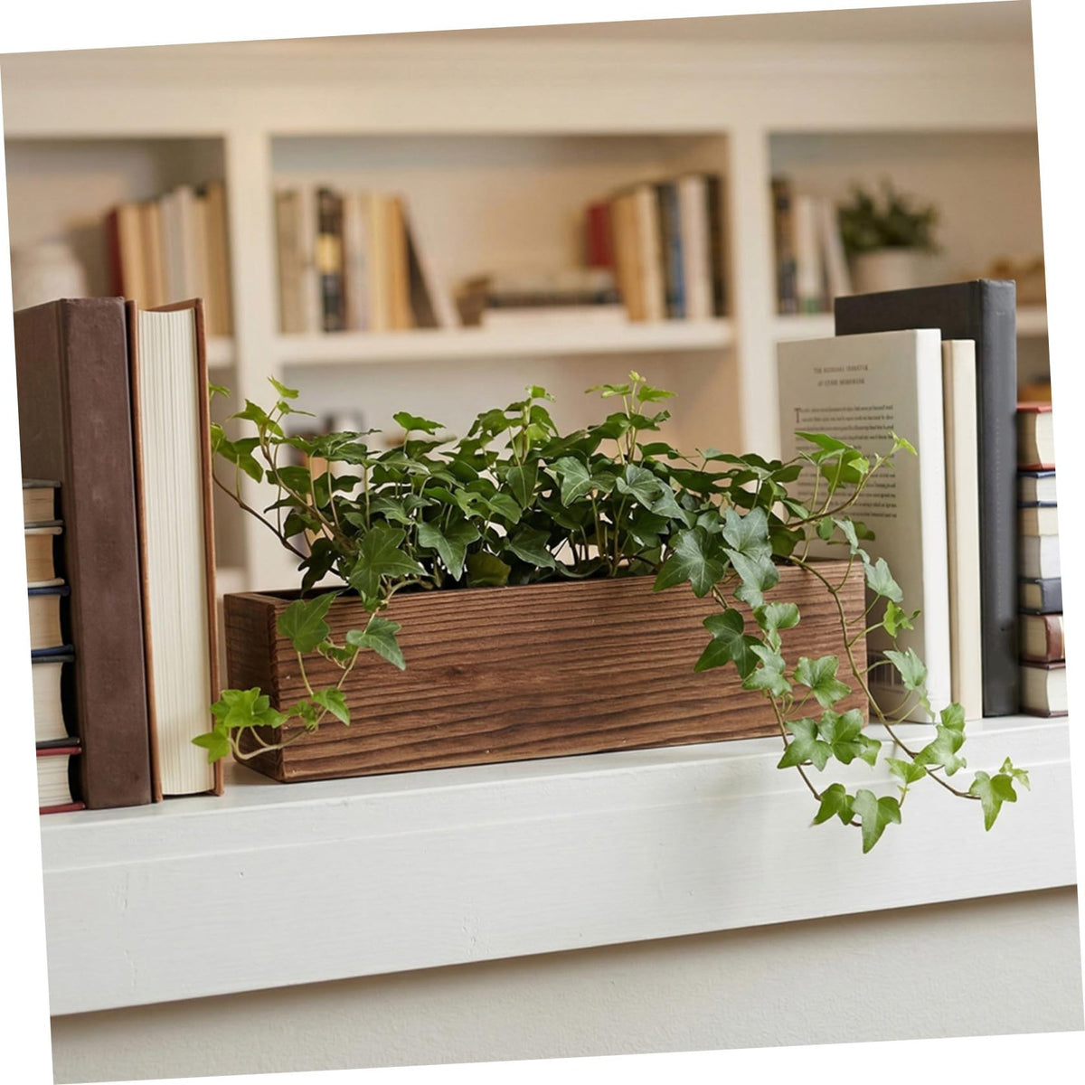 Yardwe 2 Pack Rectangle Wooden Planter Box Rustic Vintage Flower Pot