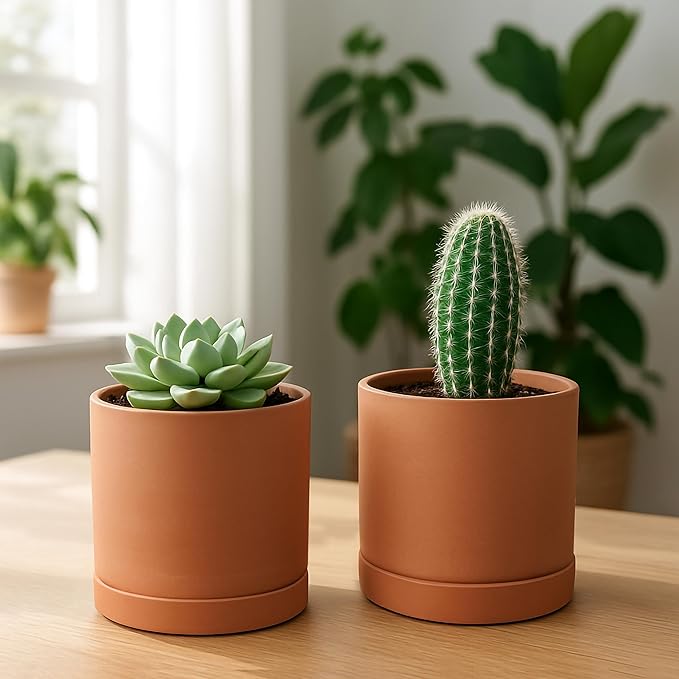 D'vine Dev Small 5 Inch Terracotta Plant Pot with Drainage Hole and Saucer, Round Cylinder Planter Pot for Indoor Plants, Set of 2, 40-X-B-2