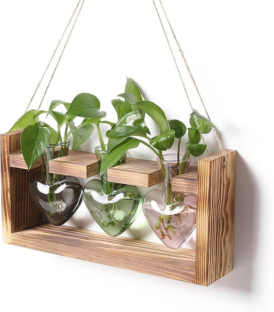 Plant Terrarium Propagation Stations Hydroponics Home Garden Decoration Gift for Women with Wooden Stand Heart Shaped Colored Glass Vase