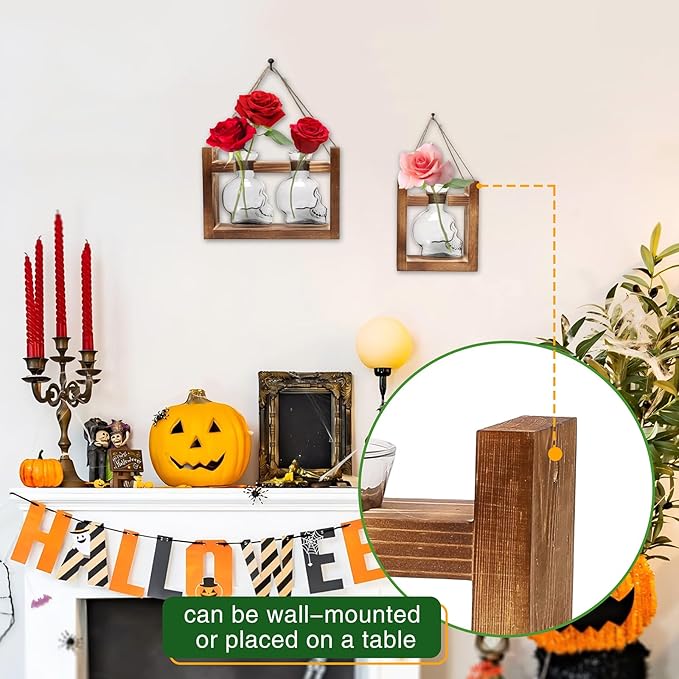 2+1 Plant Terrarium Plant Propagation Station Gifts for Father Halloween Skull Home Office Decor with Wooden Stand