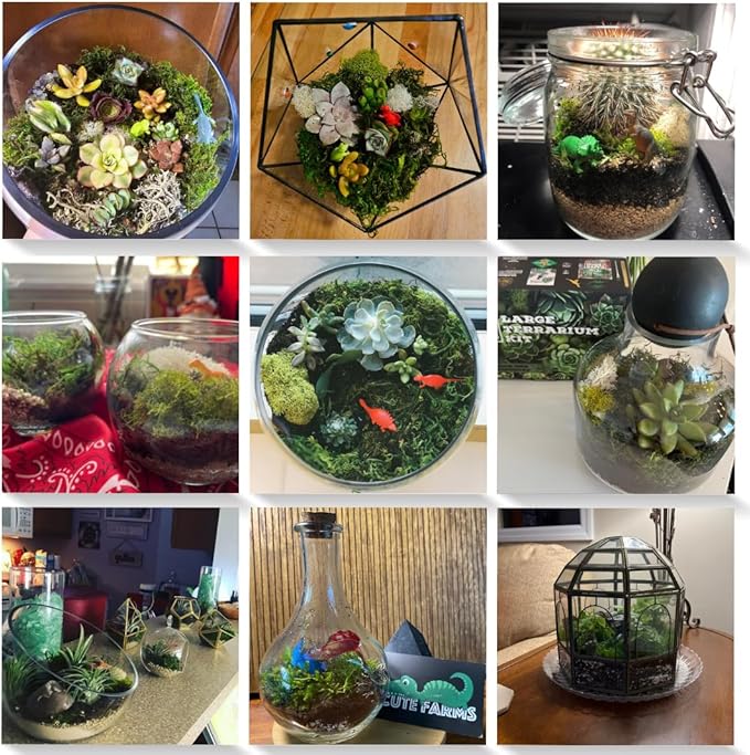 Cute Farms Terrarium Starter Kit | Moss, Vermiculite, Soil, Pebbles, Plant Food, & Finishing Tools (Large Kit + Crystals)