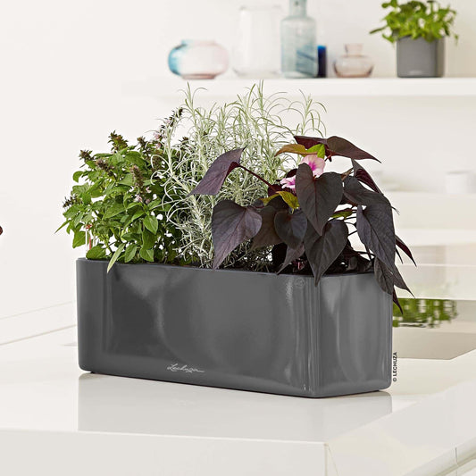 Lechuza Cube Glossy Triple Charcoal High Gloss, Self-Watering Window Box, H5.5 L15.7 W5.5 in