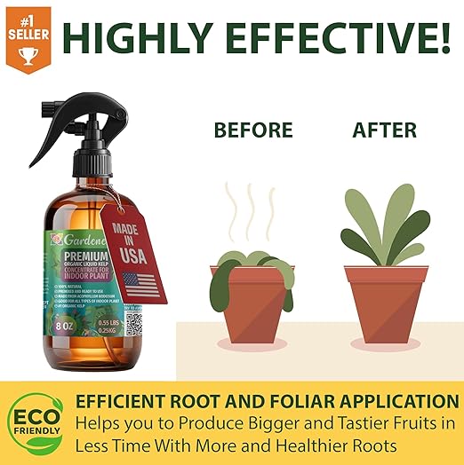GARDENERA Professional Organic Liquid Kelp Spray for Spider Plant Plants - 8 oz - Ready-to-Use Fully Organic Seaweed & Kelp Fertilizer Mist