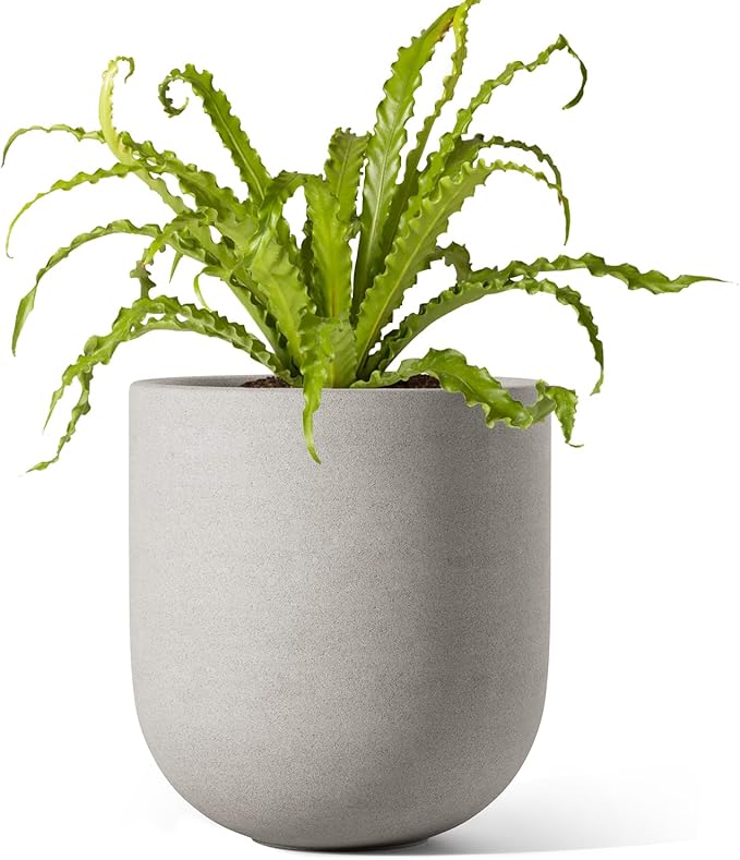 LE TAUCI 6 Inch Plant Pot, Ceramic Pot with Drainage Hole & Rubber Plug, Indoor Planter for Herbs & Small Houseplants, Cylinder Planter for Home Office, Neutral Gray