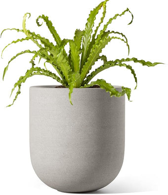 LE TAUCI 6 Inch Plant Pot, Ceramic Pot with Drainage Hole & Rubber Plug, Indoor Planter for Herbs & Small Houseplants, Cylinder Planter for Home Office, Neutral Gray
