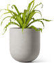 LE TAUCI 6 Inch Plant Pot, Ceramic Pot with Drainage Hole & Rubber Plug, Indoor Planter for Herbs & Small Houseplants, Cylinder Planter for Home Office, Neutral Gray