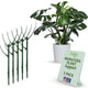 Twigs GA - Stackable Monstera Plant Support Stakes, Climbing Support for Indoor & Outdoor Use, Plant Accessories, Aesthetic Alternative to Moss Poles & Trellises – Monstera Green, 5 Pack, 17" L